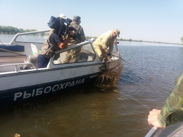 
			Более 4,7 тыс. незаконно установленных орудий лова изъято из водоемов страны во Всероссийский день без сетей 		