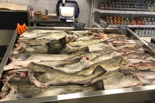 
			Руководитель Росрыболовства посетил социальный рыбный магазин в Мурманском рыбном порту 		