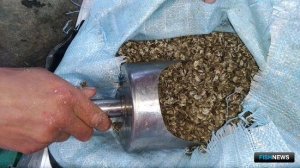 Власти Севастополя стимулируют аквафермеров рублем