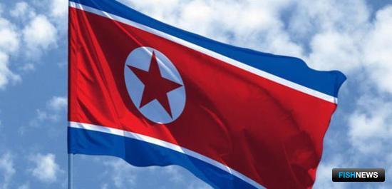 КНДР рапортует о создании суперкатамарана для рыбаков КНДР рапортует о создании суперкатамарана для рыбаков
