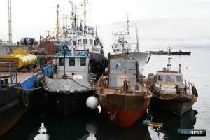 Ветсертификаты для &laquo;прибрежки&raquo; Колымы поможет оформлять ЭПЖ