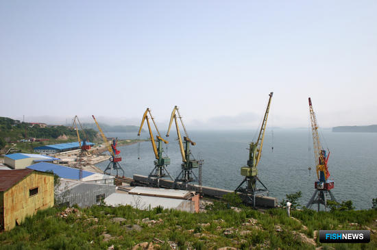 Привлекательность отрасли предложили поднимать биржей Привлекательность отрасли предложили поднимать биржей