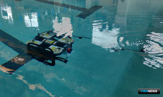 Подводная &laquo;Матрешка&raquo; принесла серебро юным робототехникам