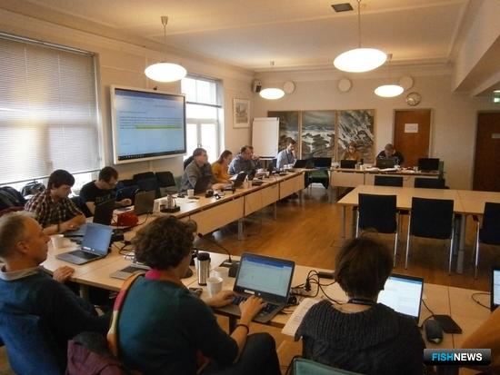 Балтийская треска получит передышку