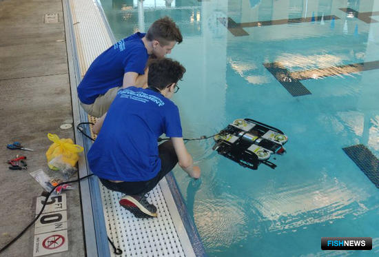 Подводная &laquo;Матрешка&raquo; принесла серебро юным робототехникам