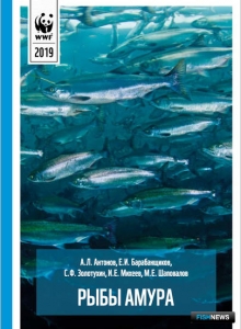Рыбное &laquo;население&raquo; Амура внесли в атлас