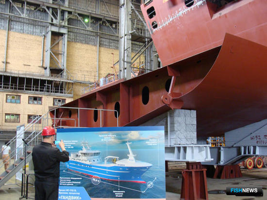 Утилизационному гранту хотят добавить рыбацкой специфики Утилизационному гранту хотят добавить рыбацкой специфики