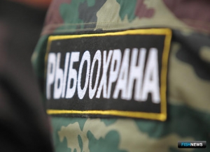 В России может появиться новый вид рыбинспекторов