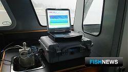 Ученые Камчатки считают лосось