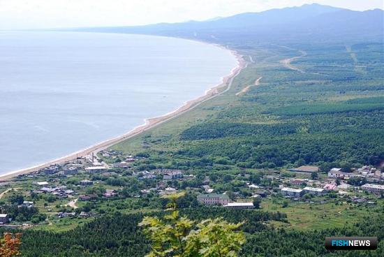 Браконьерский улов не удалось &laquo;отбелить&raquo; взяткой