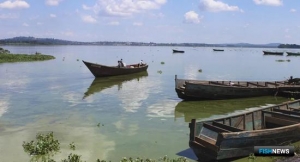 Внимание Африки обратили на мелкую рыбу