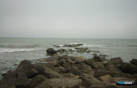 Промысел на Волге и Каспии идет успешно