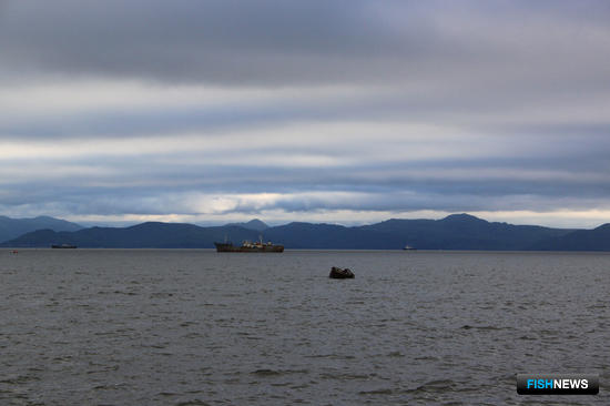 &laquo;Незаходные&raquo; суда оставят без разрешений на вылов