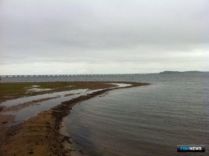Близ столицы Приморья предлагают создать мариферму