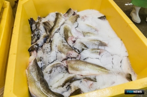 Аукцион на понижение определил обладателей инвестквот