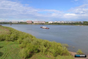 Томским рыбопереработчикам помогут из бюджета