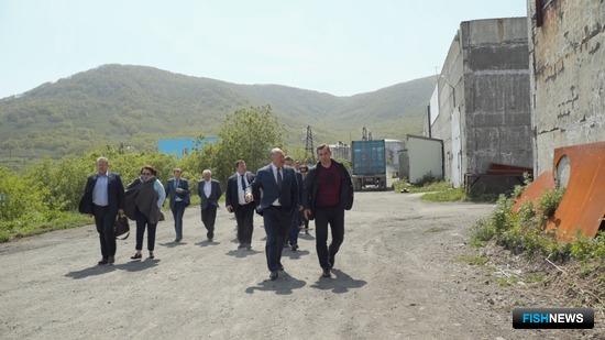 На Камчатке вновь обратились к проблеме рыбных отходов