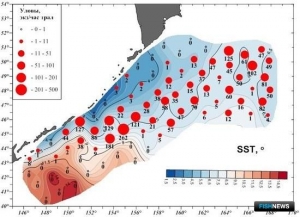 Ученые оценили мощность подходов горбуши