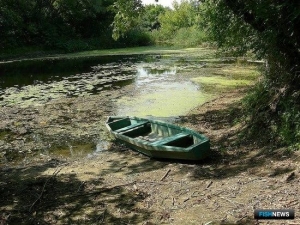 Водохранилища Саратовской области хотят задействовать в рыбоводстве