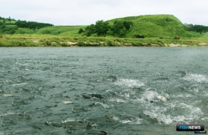 СвУБ кунгасу не положено