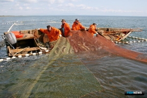 Новый вариант ограничений удивил рыбопромышленников