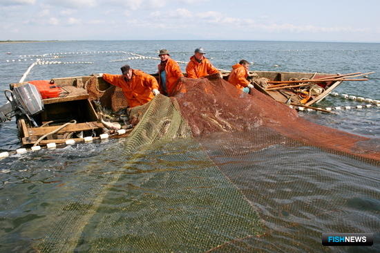 Новый вариант ограничений удивил рыбопромышленников Новый вариант ограничений удивил рыбопромышленников