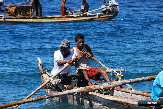 Китаю интересна рыбная отрасль Восточного Тимора