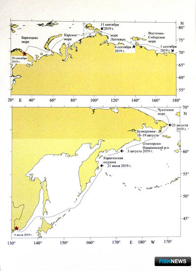 Российские ученые изучат ресурсы Арктики