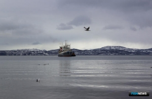 Новые правила рыболовства оценивают в регионах