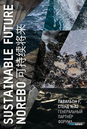 Все достижения &laquo;Норебо&raquo; представят на Seafood Expo Russia