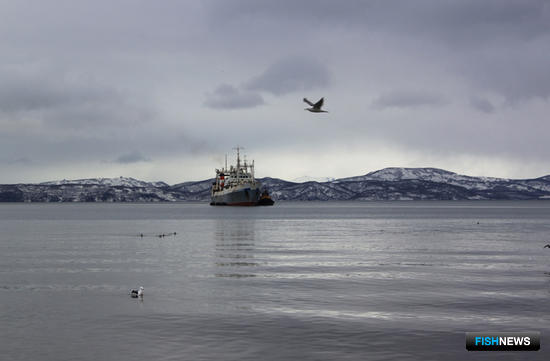 Новые правила рыболовства оценивают в регионах