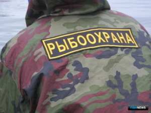 Браконьерскую переработку нашли на Камчатке