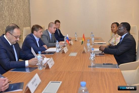 Россия готовится к промыслу в гвинейских водах Россия готовится к промыслу в гвинейских водах