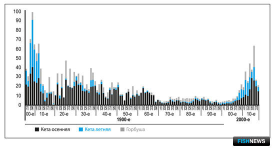Катамнез амурского лосося