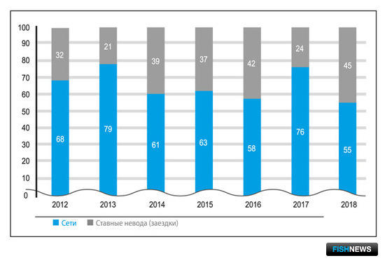 Катамнез амурского лосося
