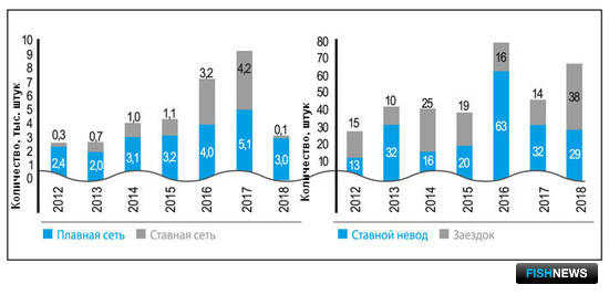 Катамнез амурского лосося