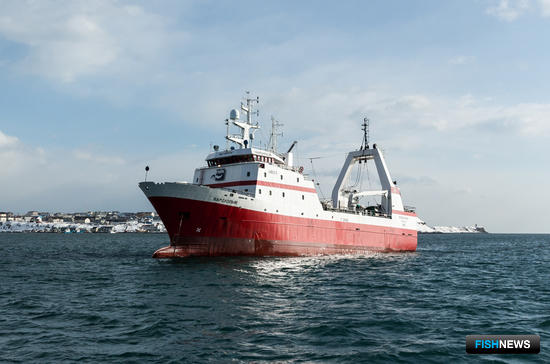 Елена Петручак: Кто сказал, что работа в море не женское дело?