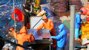 Минвостокразвития предлагает обеспечить &laquo;крабовый заказ&raquo;