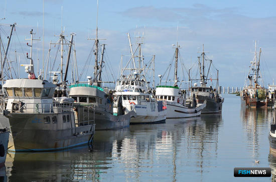 Канада будет больше заботиться о своей рыбе