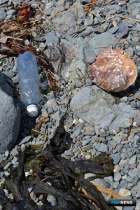 Японский промысел освободят от &laquo;мусорных&raquo; расходов