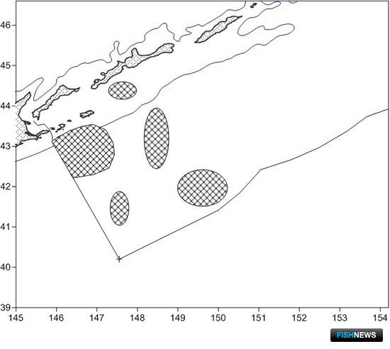 Наука дала прогноз по иваси, скумбрии и сайре Наука дала прогноз по иваси, скумбрии и сайре