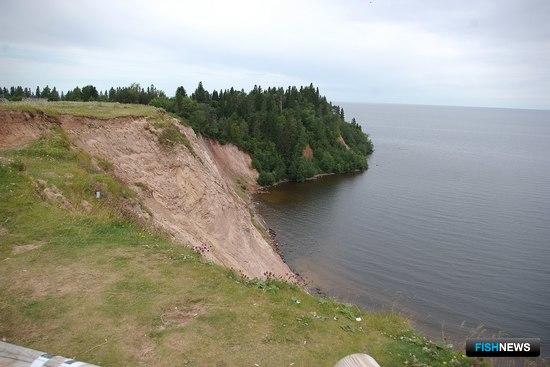 Бывший рыбинспектор получил условный срок
