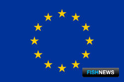 Треску Балтики защитили запретом Треску Балтики защитили запретом