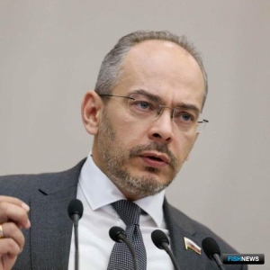 Рыбаки-любители жалуются на неэффективность закона