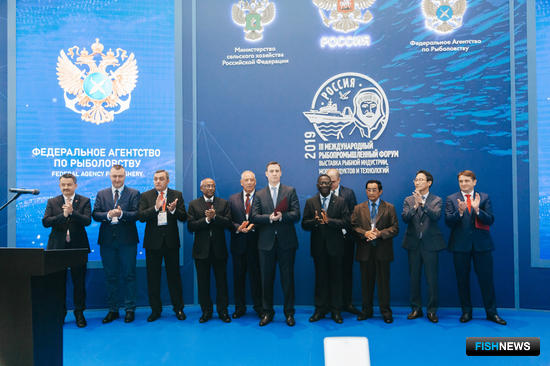 Рыбные дни удались Рыбные дни удались