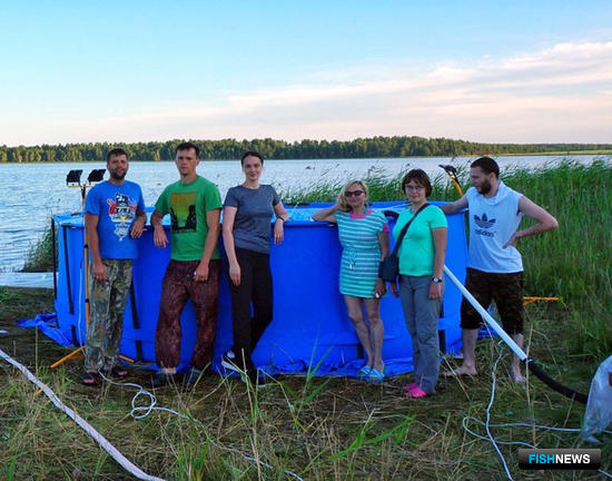 Артемию готовят к пастбищной аквакультуре Артемию готовят к пастбищной аквакультуре