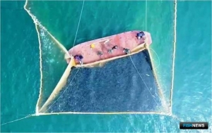 Горбуша Карагинской подзоны оправдала ожидания