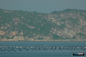 Минвостокразвития оценило закон о &laquo;ТОР на воде&raquo;