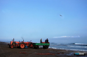 Каспийская конвенция отправилась на ратификацию