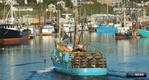 Рыба США &laquo;отступает&raquo; на китайском направлении